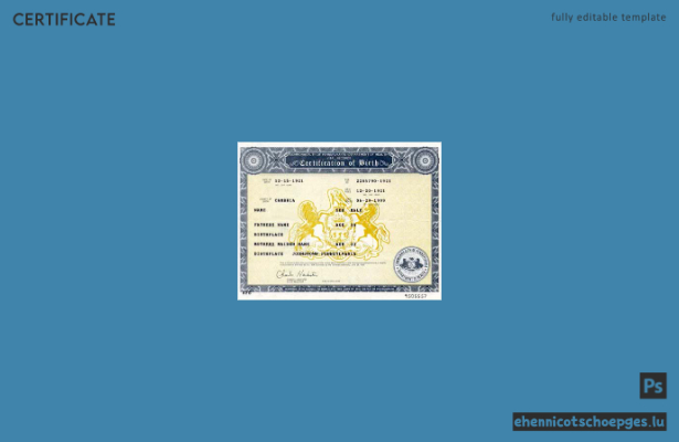 Vorschau einer Geburtsurkunde des Commonwealth of Pennsylvania, USA